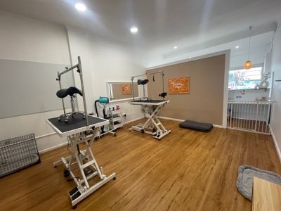 established-dog-grooming-business-for-sale-taree-nsw-0