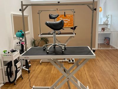 established-dog-grooming-business-for-sale-taree-nsw-3