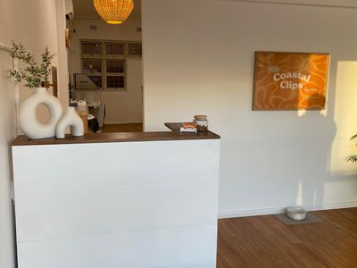 established-dog-grooming-business-for-sale-taree-nsw-1