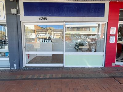 established-dog-grooming-business-for-sale-taree-nsw-7