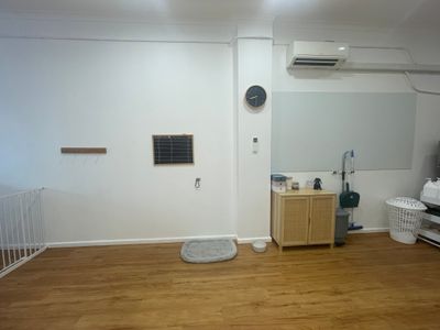 established-dog-grooming-business-for-sale-taree-nsw-5