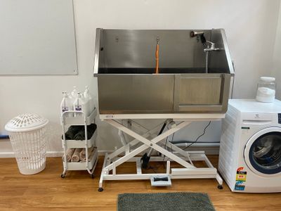 established-dog-grooming-business-for-sale-taree-nsw-2