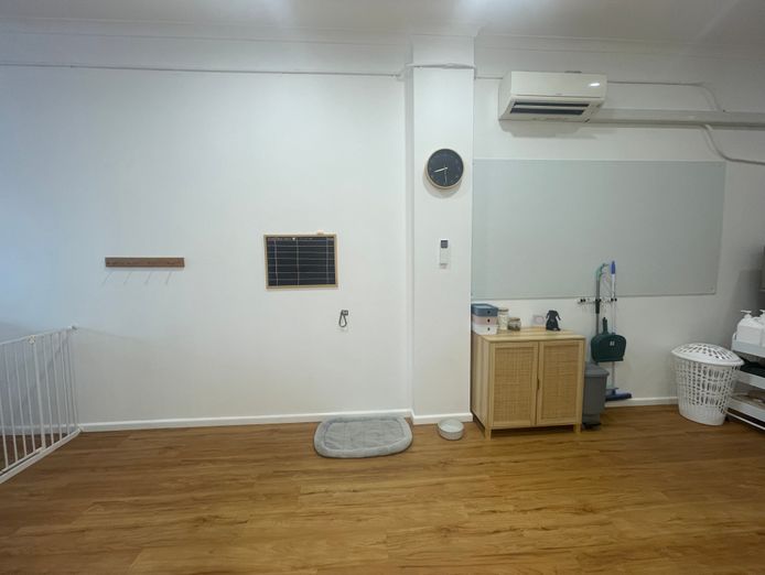 established-dog-grooming-business-for-sale-taree-nsw-5