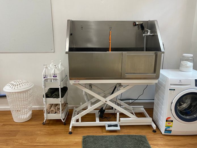 established-dog-grooming-business-for-sale-taree-nsw-2