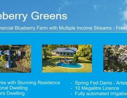 BLUEBERRY GREENS: BLUEBERRY FARM WITH MULTPLE INCOME STREAMS - FREEHOLD