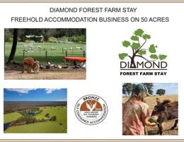 Diamond Forest Farm Stay : Freehold Accommodation Business on 50 Acres