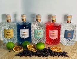 Successful gin distillery & distribution business for sale.