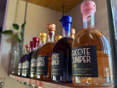 iconic-gin-bar-restaurant-amp-freehold-award-winning-hospitality-venue-8