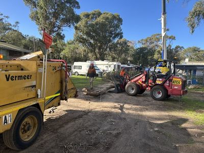 long-established-arborist-businesses-strong-cashflow-amp-major-contracts-6