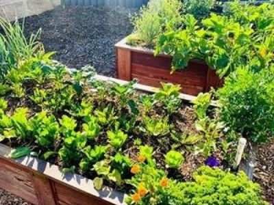 leading-organic-gardening-business-in-perth-neerabup-wa-2
