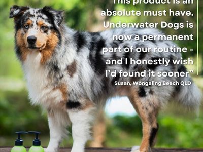 award-winning-australian-dog-haircare-brand-with-global-e-commerce-opportunity-9