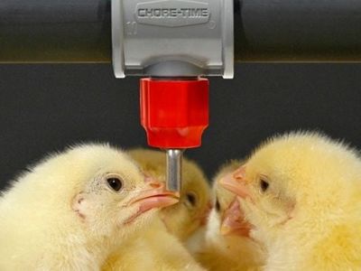 thriving-agritech-business-with-global-reach-and-proven-success-9