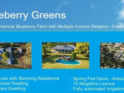 blueberry-greens-blueberry-farm-with-multple-income-streams-freehold-0