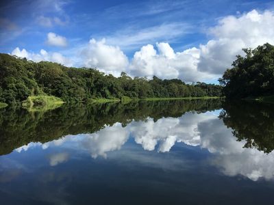 the-closest-wet-tropics-world-heritage-river-based-experience-to-cairns-5