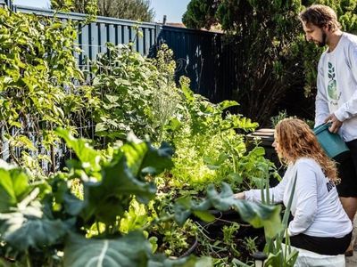 leading-organic-gardening-business-in-perth-neerabup-wa-0