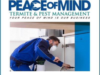 established-termite-amp-pest-management-business-flexible-mobile-operation-wiwo-0