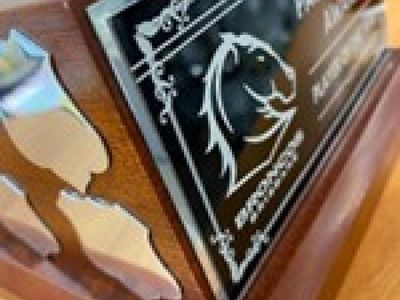 trophy-amp-awards-business-established-profitable-amp-reputable-4