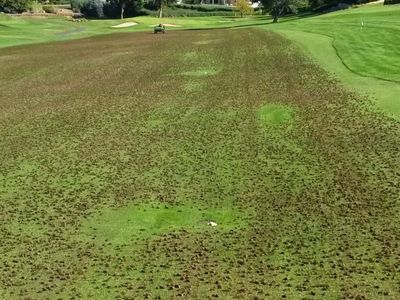 highly-profitable-lawn-renovation-amp-sports-field-maintenance-business-6