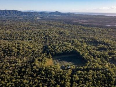 blueberry-greens-blueberry-farm-with-multple-income-streams-freehold-5