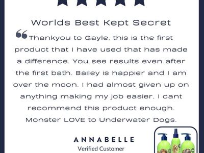 award-winning-australian-dog-haircare-brand-with-global-e-commerce-opportunity-6