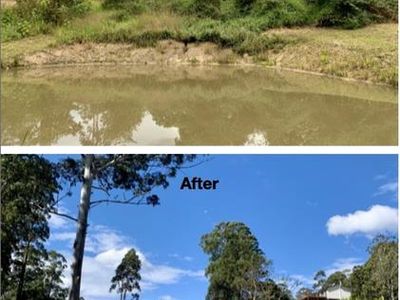profitable-eco-vegetation-management-business-northern-nsw-9