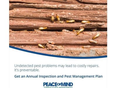 established-termite-amp-pest-management-business-flexible-mobile-operation-wiwo-8