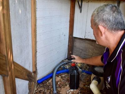 queensland-pest-inspections-amp-reports-gold-coast-1