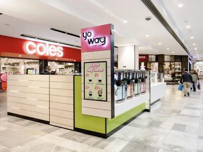 established-amp-profitable-frozen-yogurt-business-yo-way-1