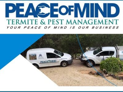 established-termite-amp-pest-management-business-flexible-mobile-operation-wiwo-1