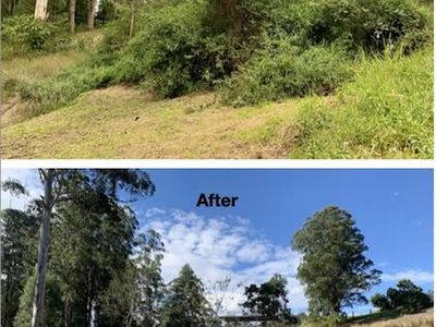 profitable-eco-vegetation-management-business-northern-nsw-8