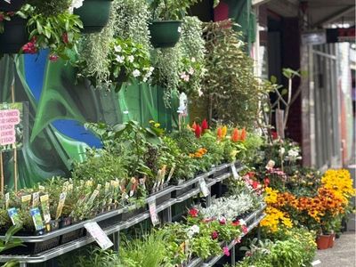 inner-city-garden-centre-1