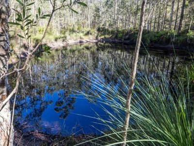 blueberry-greens-blueberry-farm-with-multple-income-streams-freehold-4