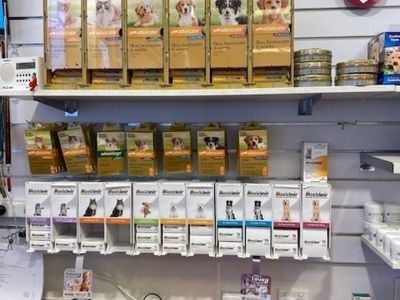 northam-39-s-only-pet-store-for-sale-9