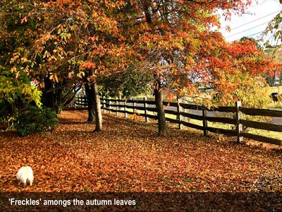 heritage-seed-bank-and-open-garden-9