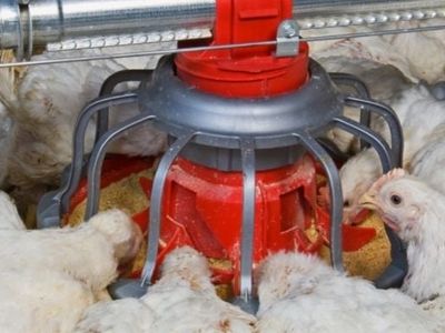 thriving-agritech-business-with-global-reach-and-proven-success-7