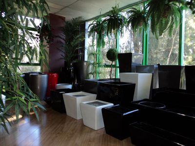 import-wholesale-of-fibreglass-planters-0