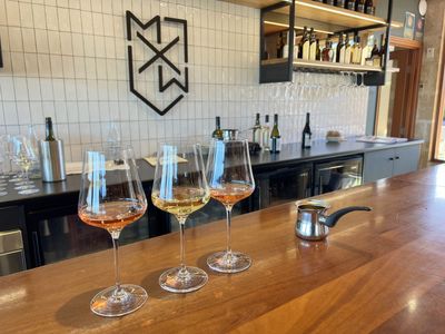 established-sa-wine-tour-operator-25-years-branded-fleet-amp-growth-potential-5