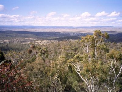 iconic-log-cabin-tea-house-restaurant-with-top-views-under-mt-gladstone-lookout-8