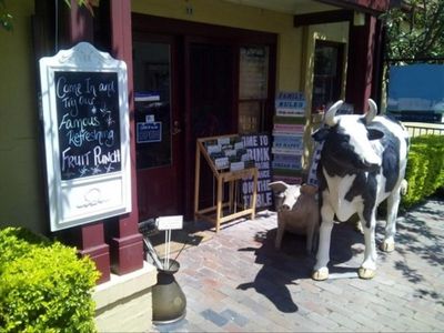 award-winning-iconic-cafe-in-the-beautiful-hunter-valley-wine-country-nsw-1