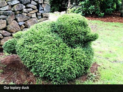heritage-seed-bank-and-open-garden-5