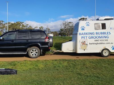 profitable-mobile-pet-grooming-business-with-loyal-hobart-client-base-0