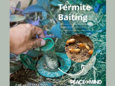 established-termite-amp-pest-management-business-flexible-mobile-operation-wiwo-6