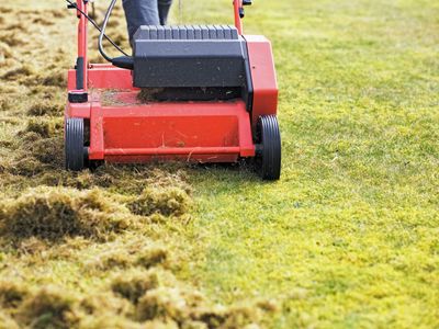 highly-profitable-lawn-renovation-amp-sports-field-maintenance-business-5