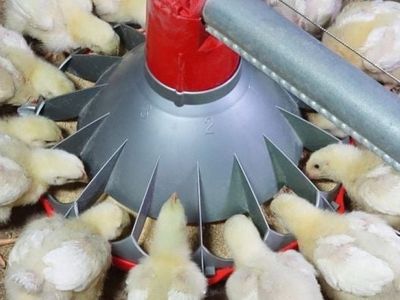 thriving-agritech-business-with-global-reach-and-proven-success-8