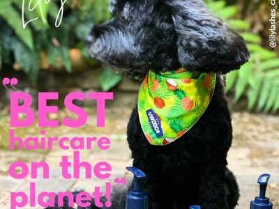 award-winning-australian-dog-haircare-brand-with-global-e-commerce-opportunity-5