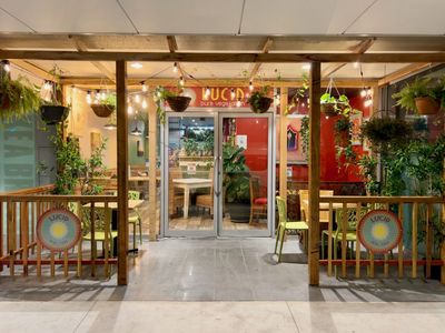 thriving-vegetarian-restaurant-with-beautiful-fit-out-4