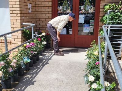 moontree-health-amp-organic-supermarket-long-established-cooma-icon-2