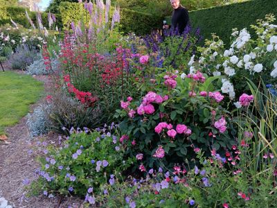 award-winning-maze-garden-caf-amp-gallery-with-events-venue-amp-residence-4