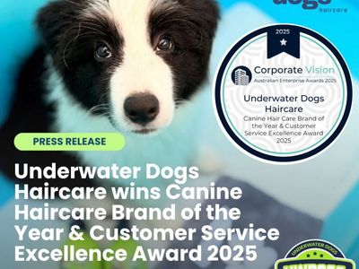 award-winning-australian-dog-haircare-brand-with-global-e-commerce-opportunity-2