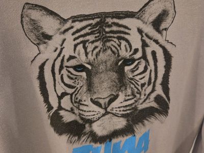 iconic-australian-swimwear-brand-over-40-years-of-heritage-4